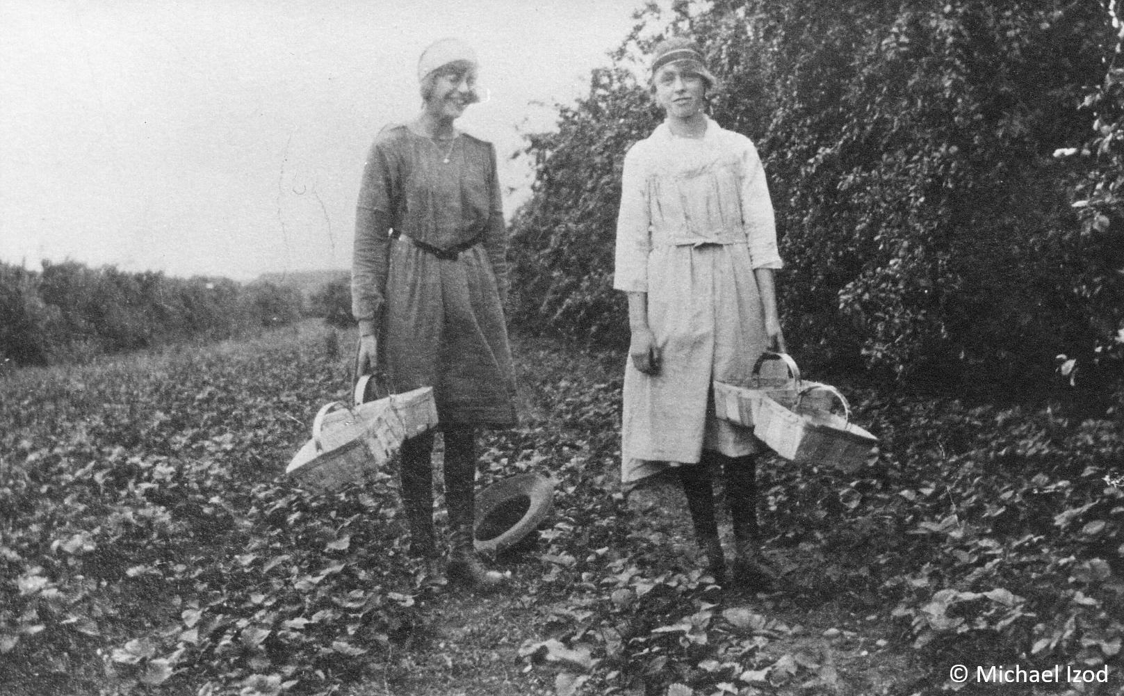 Two young girls strawberry picking