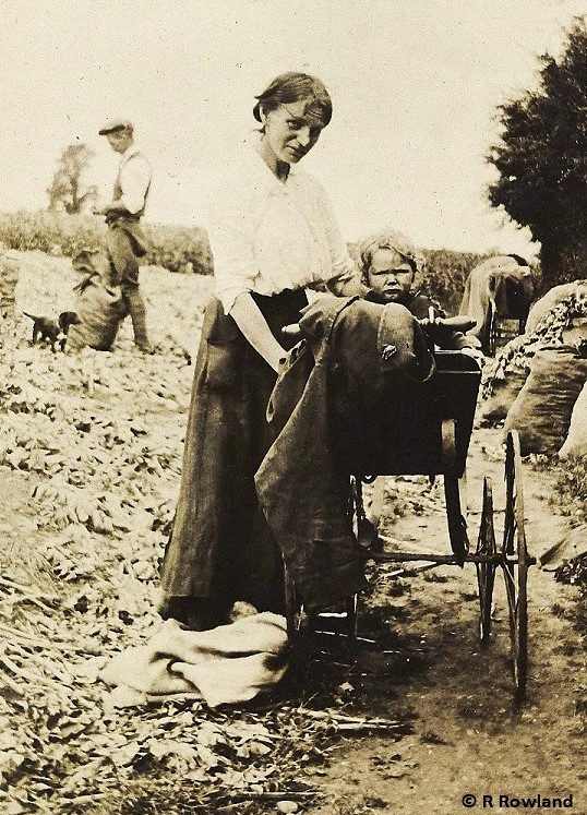 Mother with child in pram on edge of harvested field