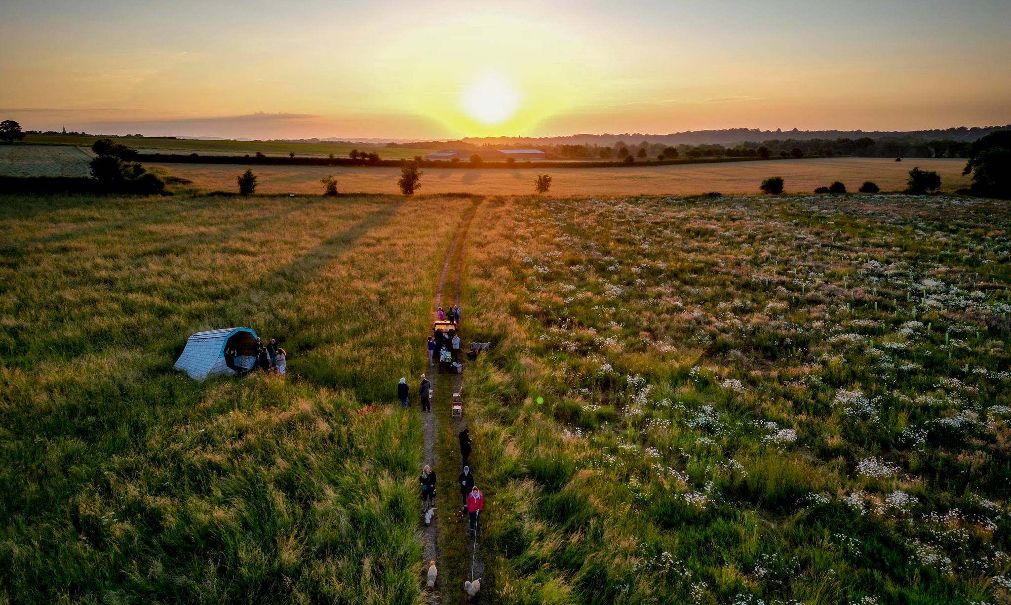 Sunrise over New Farm Nature Reserve