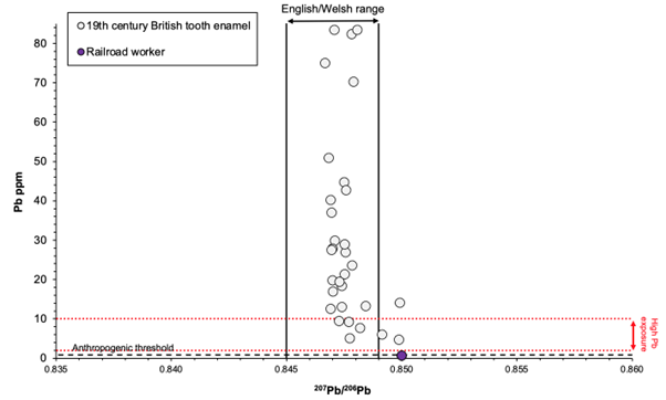 Lead concentration graph - Bromyard Line burial