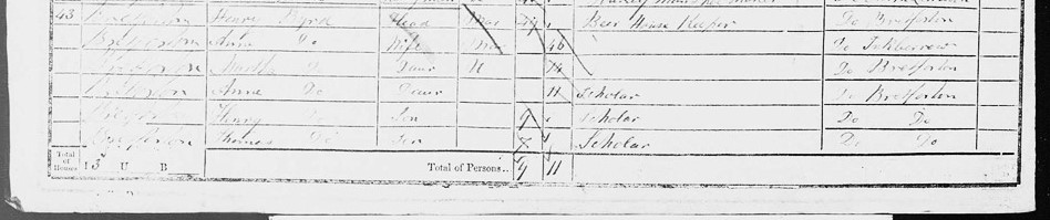 Several rows of a handwritten census record